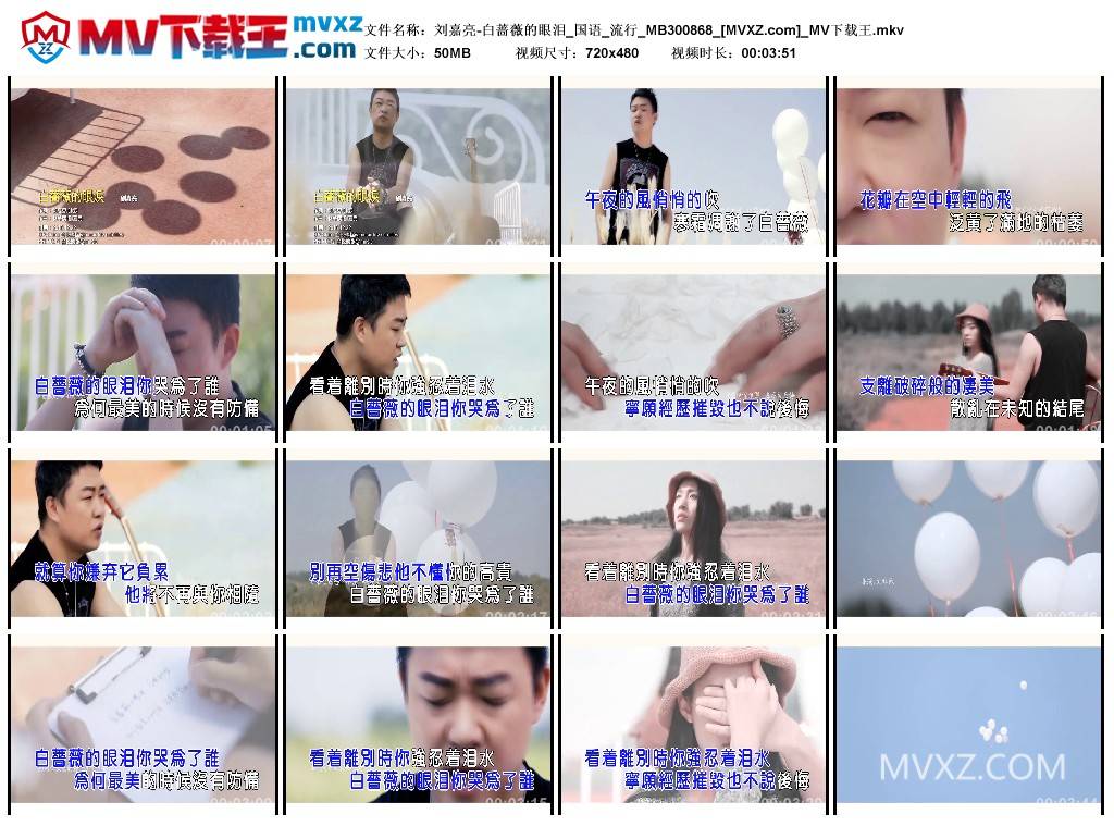 刘嘉亮-白蔷薇的眼泪_国语_流行_MB300868